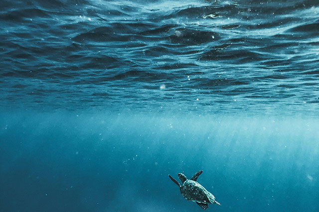 印尼TikTok直播要用專線網(wǎng)絡(luò)嗎？